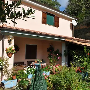 Alloggio per agriturismo Mattalè 